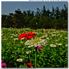 s_DSC_3147