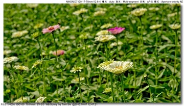 s_DSC_3151