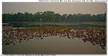 s_DSC_3758