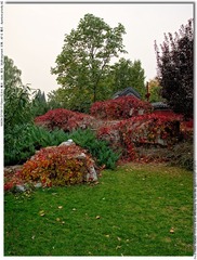 s_DSC_3769