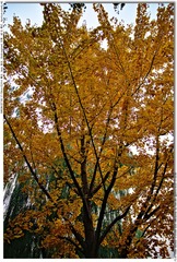 s_DSC_3773