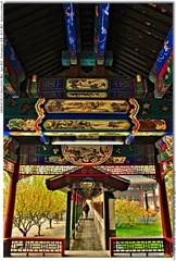 s_DSC_4247