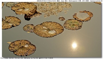 s_DSC_4252
