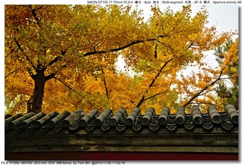 s_DSC_4259