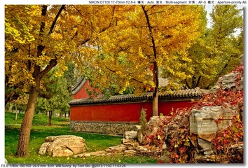 s_DSC_4261