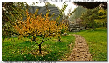 s_DSC_4269