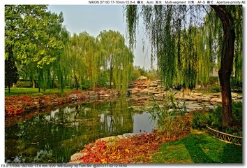 s_DSC_4272