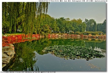s_DSC_4273