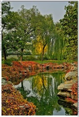 s_DSC_4274