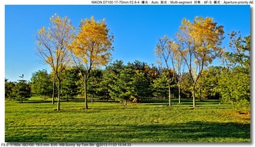 s_DSC_4321