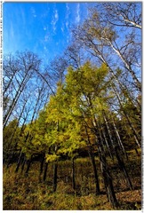 s_DSC_0499