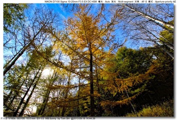 s_DSC_0505