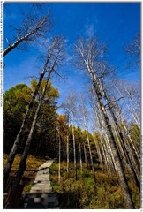 s_DSC_0507