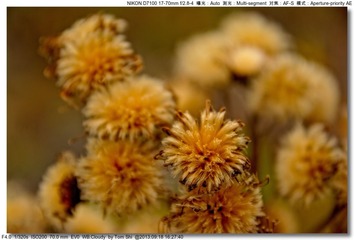 s_DSC_0599
