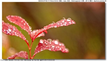 s_DSC_0643