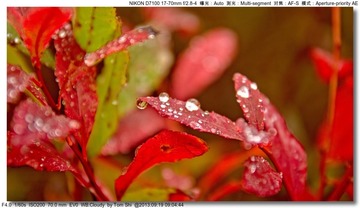 s_DSC_0644