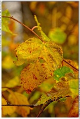 s_DSC_0648
