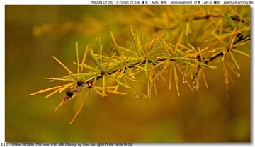 s_DSC_0655