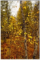 s_DSC_0737
