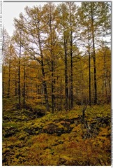 s_DSC_0698