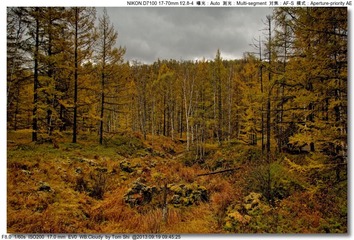 s_DSC_0708