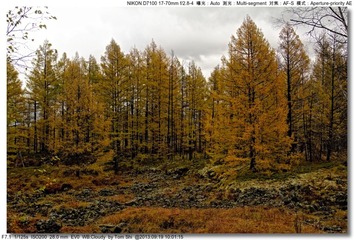 s_DSC_0739