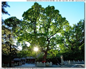 s_DSC_0321