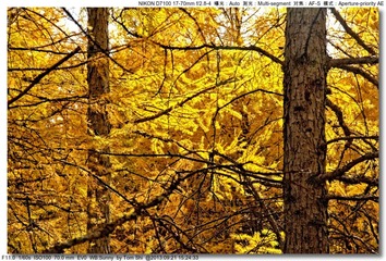 s_DSC_1792