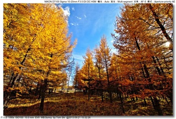 s_DSC_1805