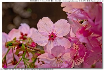 s_DSC_3719