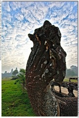 s_DSC_5565_01