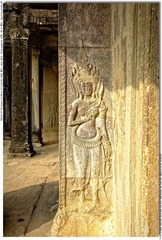s_DSC_6733