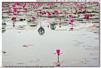 s_DSC_6953