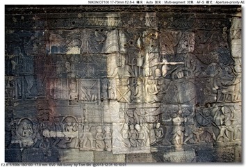 s_DSC_6895