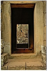 s_DSC_6818