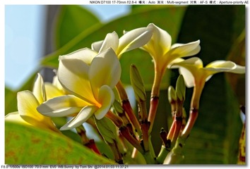 s_DSC_7718