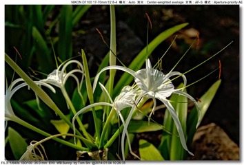 s_DSC_7789