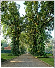 s_DSC_7765