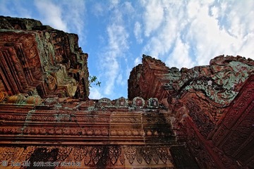 s_DSC_6098