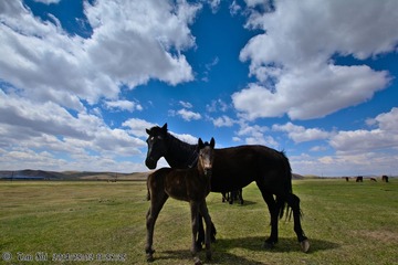 s_DSC_1849