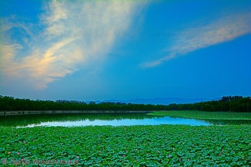 s_DSC_4122
