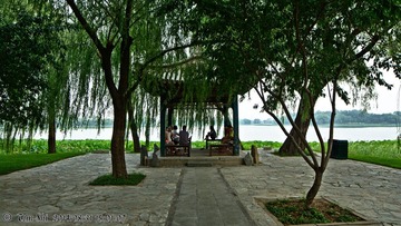 s_DSC_4229