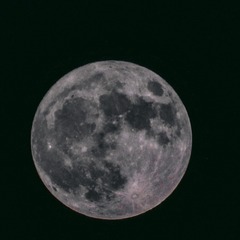 E7730646-9982-4386-B9F7-99345CEA3437/L0/001