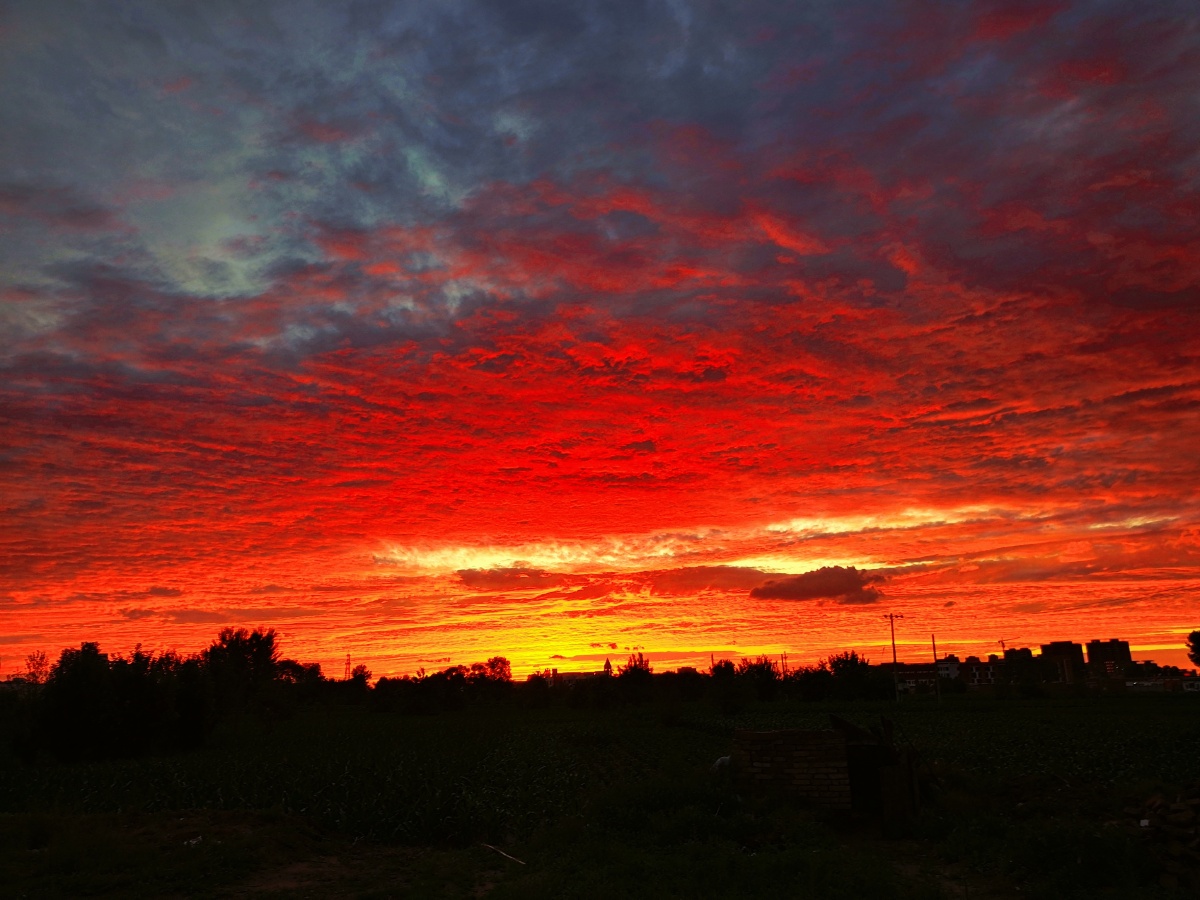 "妈妈喜欢暖色调,尤其是橙色,她说意味着晴朗,快乐和阳光"