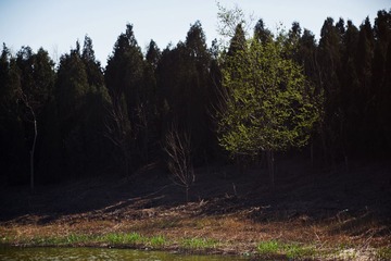 _DSC3225