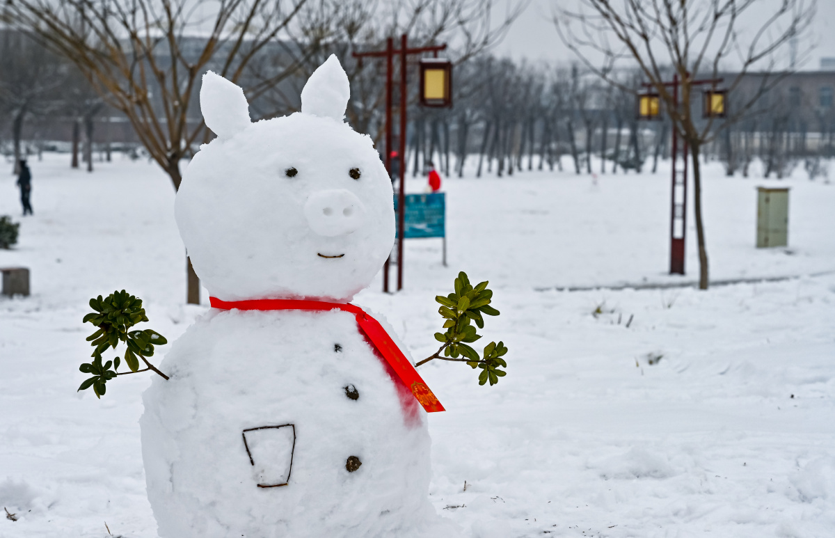 寒冷冬天下雪堆雪人