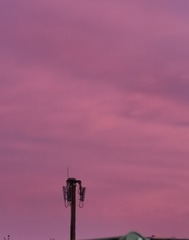 1126467
