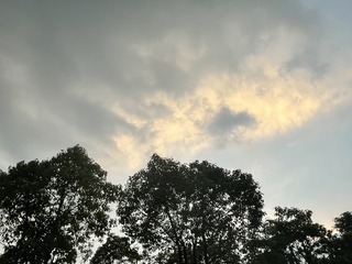 C14A2518-79F2-46E2-AA1D-404A04B99F91/L0/001