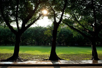 20120508-17-09-05-PS2.jpg