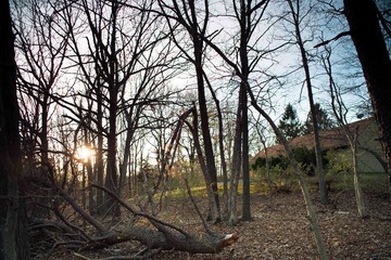DSC_5023-2.jpg